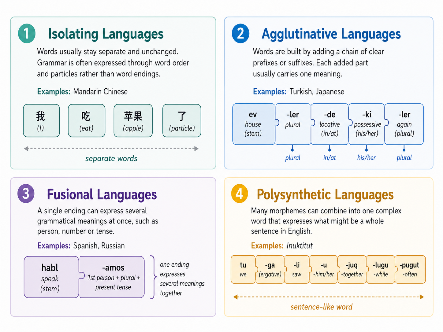 Linguistic Typology Explained: How Scholars Compare Language